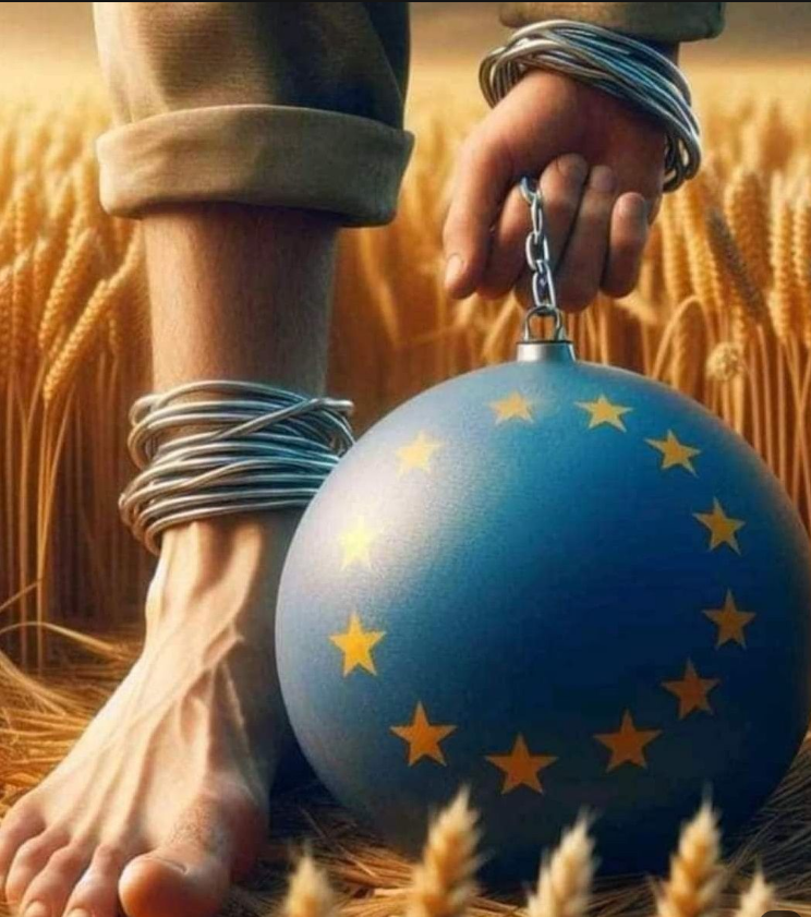L’Union européenne sacrifie cruellement les agriculteurs au profit des lobbies et du libre-échange ; cette trahison enflamme la colère du peuple qui s’unit pour la mobilisation du 10 septembre 2025 ; si vous refusez cette injustice, retweetez !
<a href="/lune_ava/">Ava Lune</a>