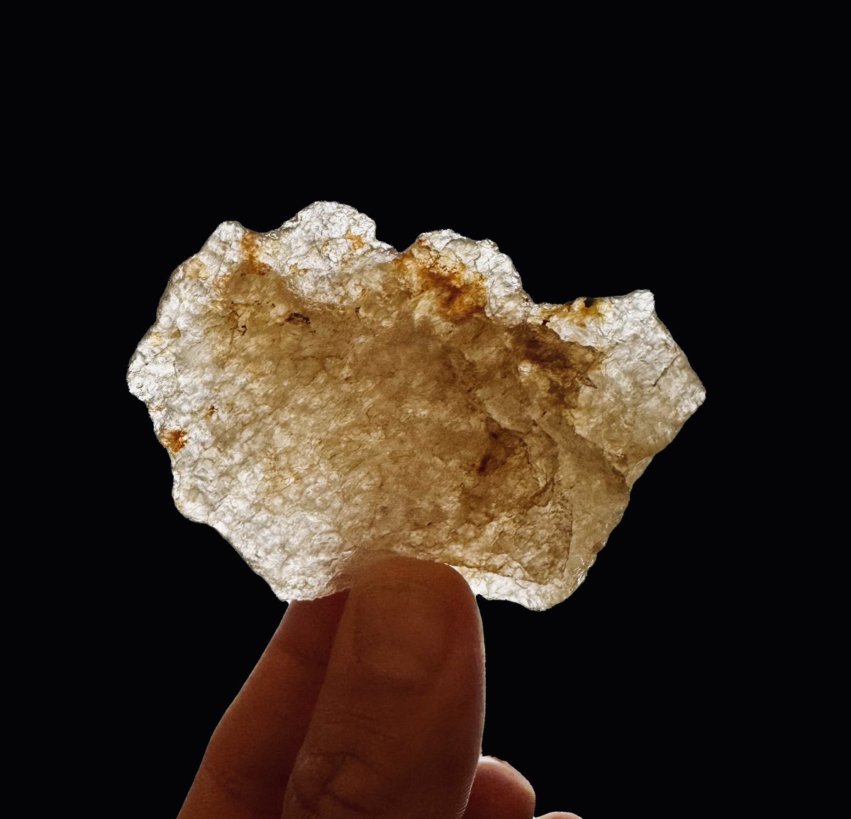 red_relics's tweet image. Beautiful quartz cutting tool with human and animal imagery. Hint: find the human face looking left. Turn it upside down find a bear facing left. There are more to be found. SE Pennsylvania. Lenape or their predecessors.