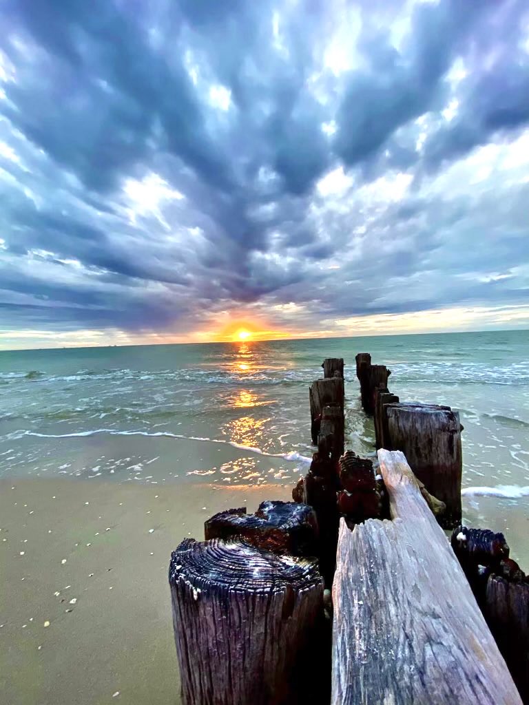 Teresa42254207's tweet image. Ref Psalm 113:3 From the rising of the sun unto the going dawn of the same the Lord’s name is to be praised.K.J.V.