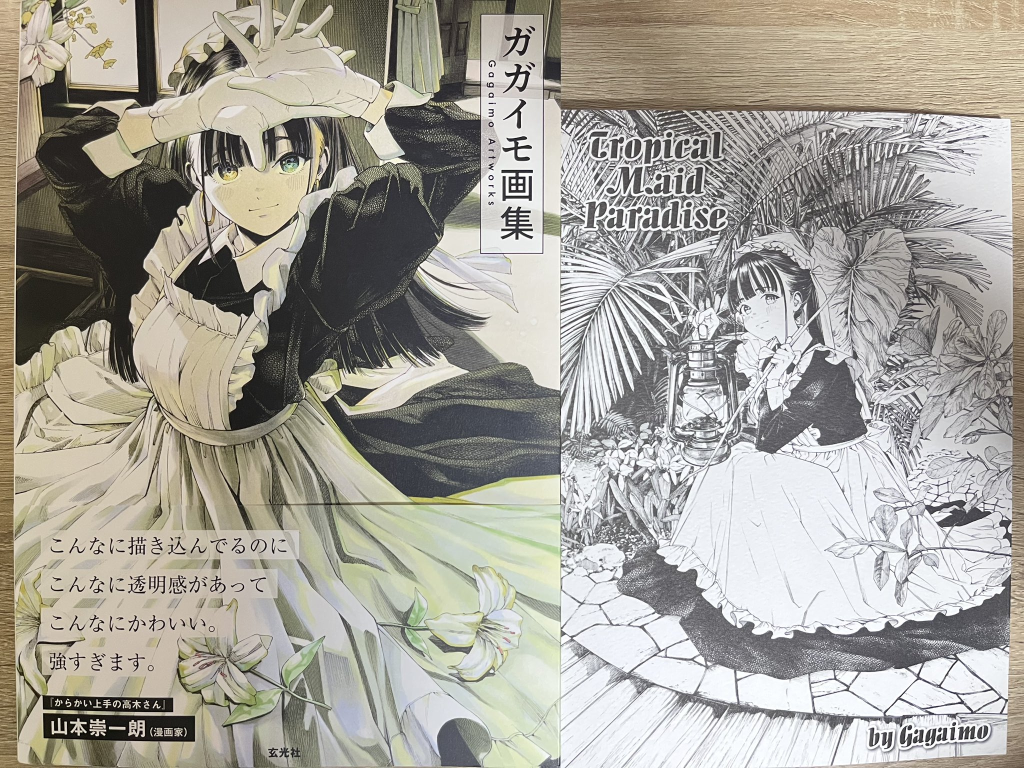 ガガイモ　サイン色紙 ガガイモ サイン色紙