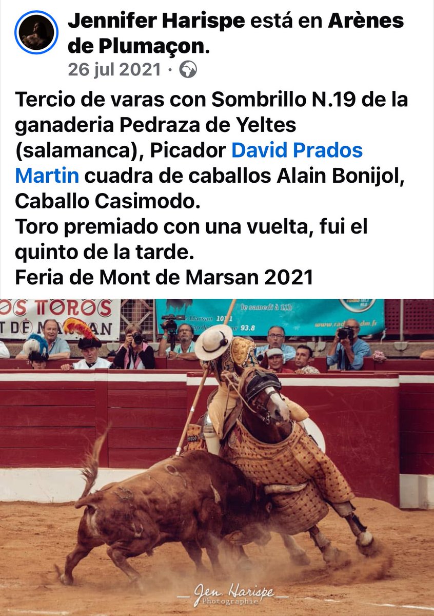 Pedraza de Yeltes (@pedrazadyeltes) on Twitter photo 