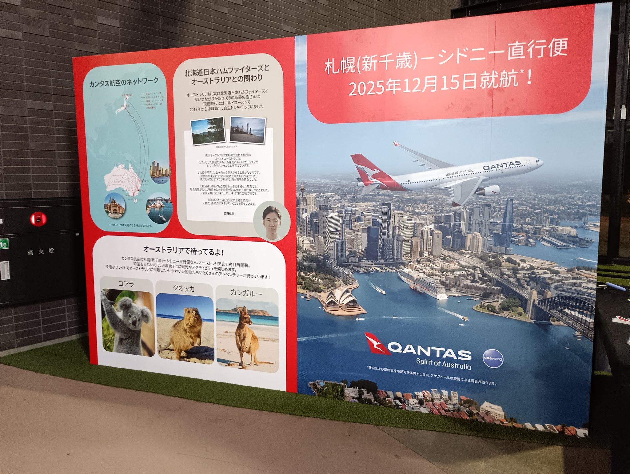 ゆちさん専用★カンタス航空+アメリカン航空22000 ヨッシー@札幌鴎星党✈️ on X: