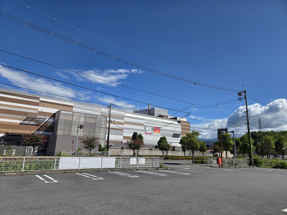 土曜日のレッスン終わりました。暑い1週間でした。
想定外のことが、起こり、気持ちを落ち着かせようと努力してます。
さあ、。明日は、皆さん、ゆっくり出来るといいですね。