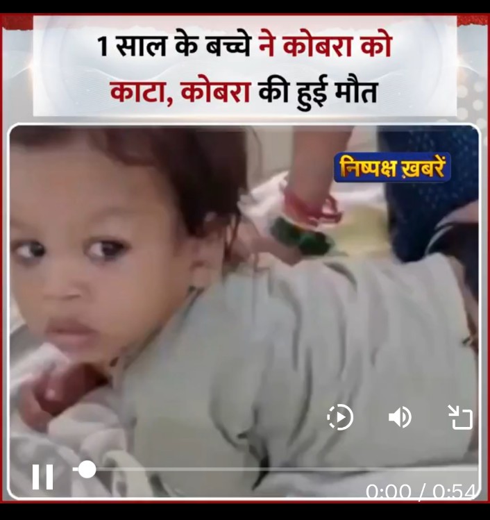एक बिहारी 100 पर भारी !