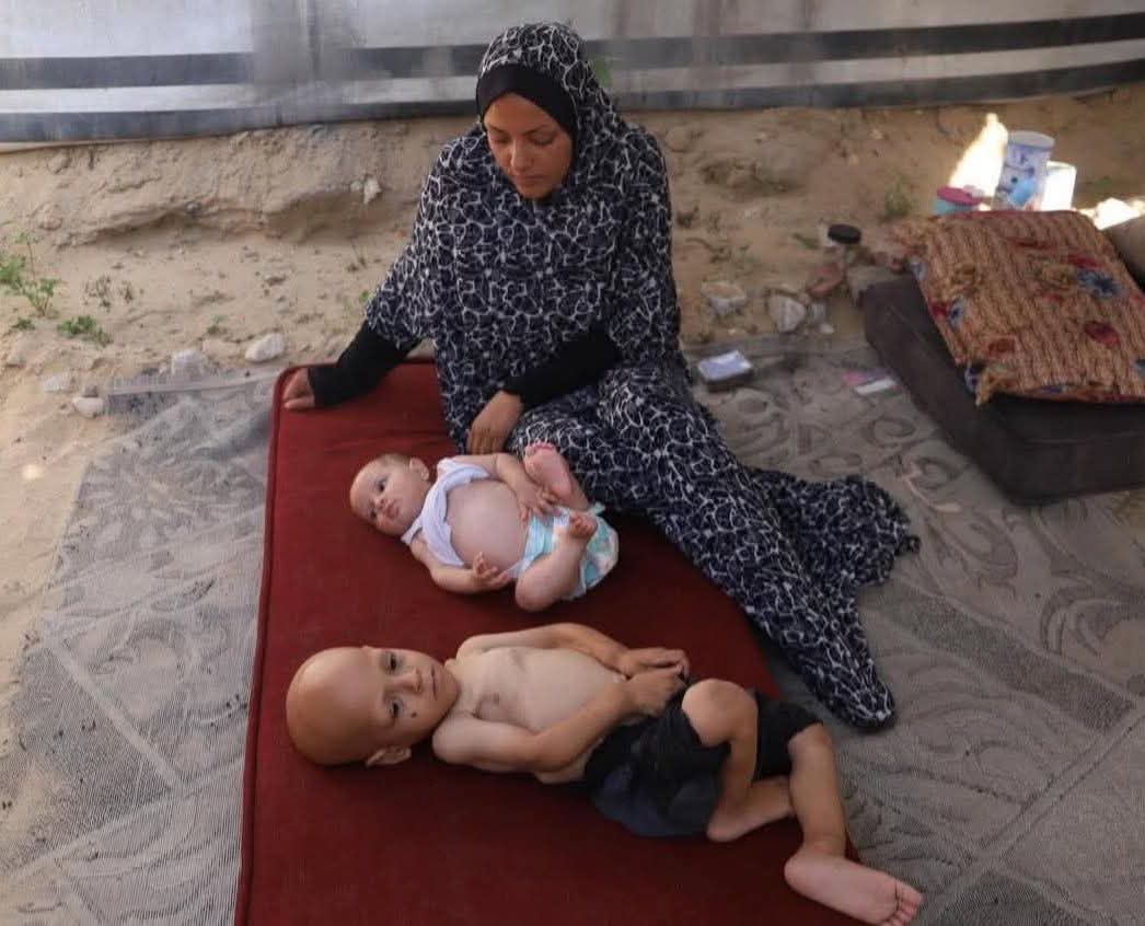 غزّة تُباد،
والعربُ مشغولون بتنسيق قمصانهم مع العار.
ليس العدوّ مَن يقصف،
بل مَن يصفّق… أو يصمت.