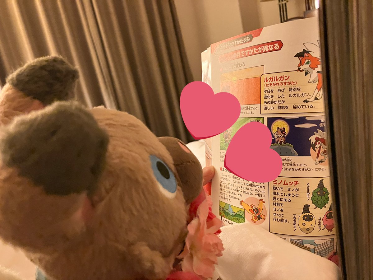 tier1kun's tweet image. ふむふむ…📖
いわんこ、くーるにわおーんってするから、まよなかかな🌙
でも、げんきいっぱいにおひるねするから、まひるかも…☀️
ん❓まいぺーすだから、たそがれっぽい❓❓🐶
#ポケモンのいる生活 #イワンコといっしょ