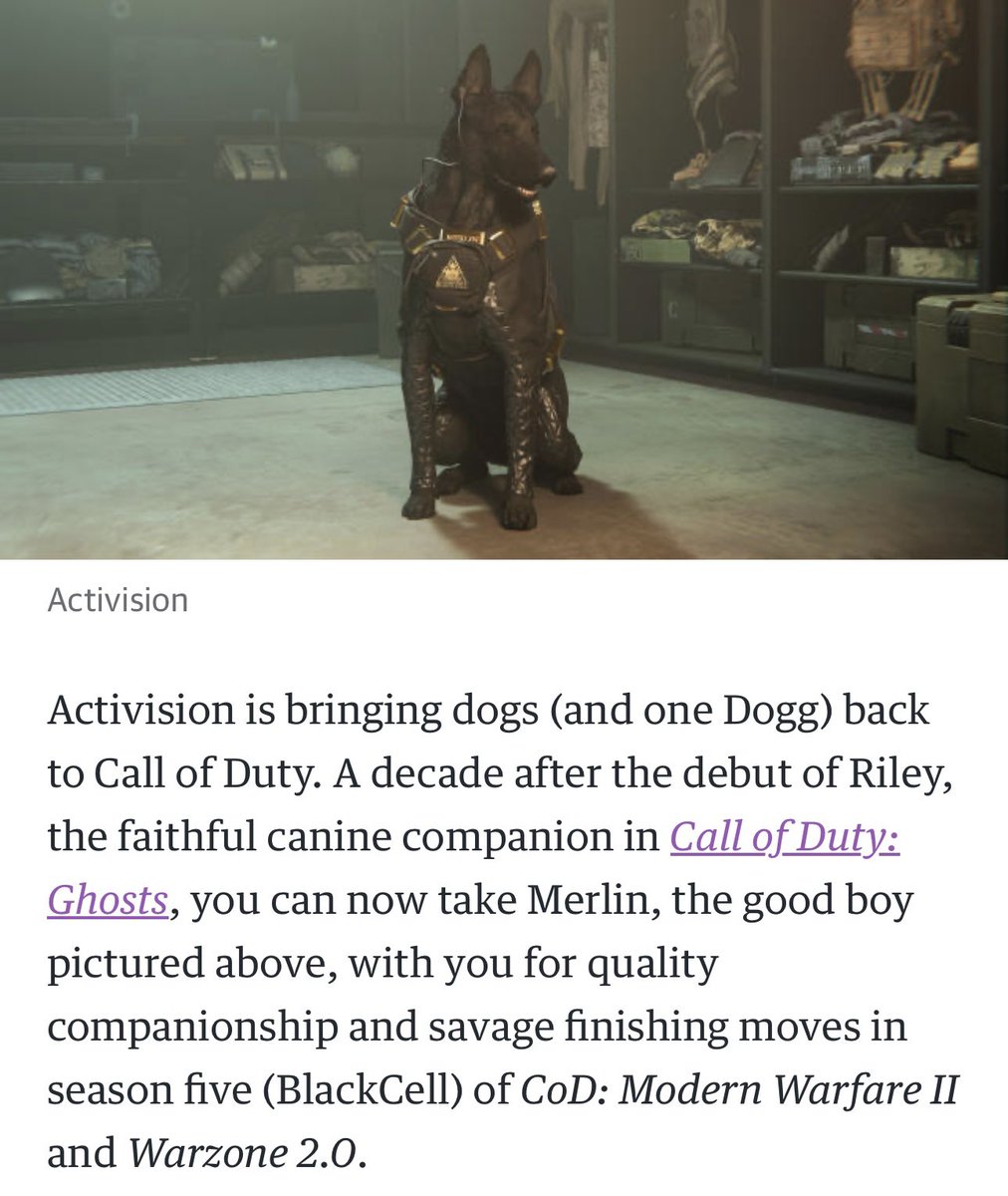 jonnybegoody19's tweet image. $Monkey
Don’t forget that he the dog character from Call Of Duty : Merlin
He can paint, skateboard, and even surf.
🎨 🛹 🏄
The dog keeps painting.