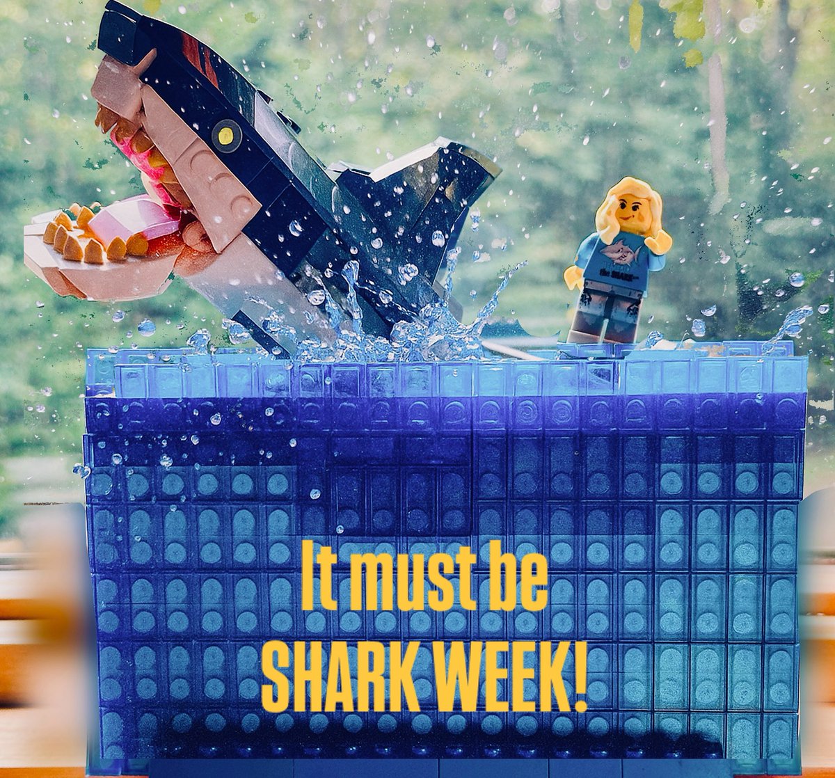 Just wrapping up another #SharkWeek thanks <a href="/Discovery/">Discovery</a> 💙🌊💙🦈