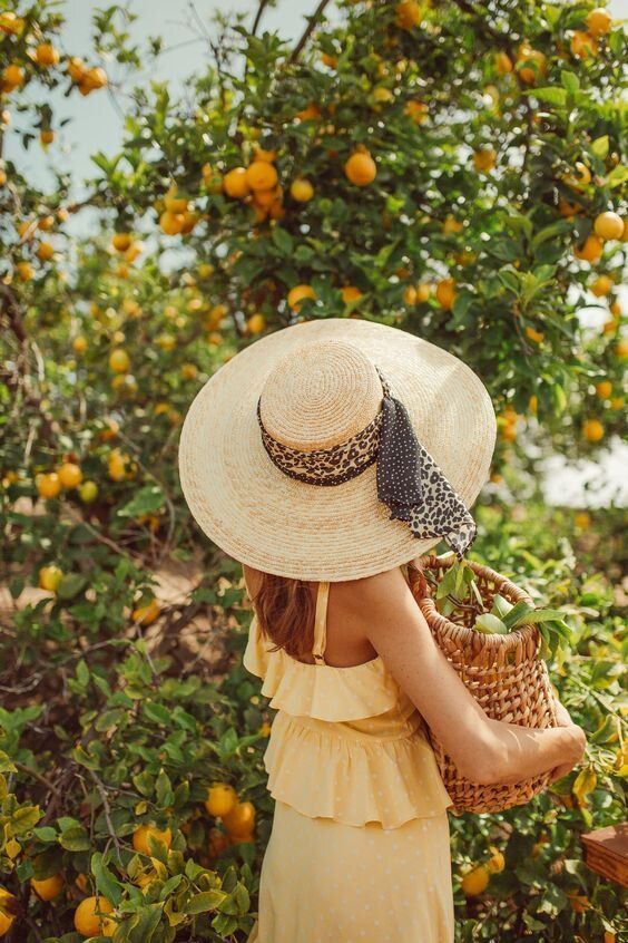 Gen_Boiko's tweet image. Dancing on branches
Citrus fragrantly bloom
Bursting ripened zest
Photo:
Unknown
#Haiku
