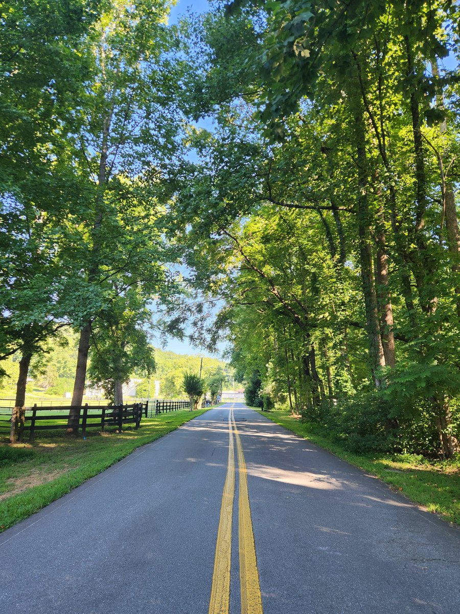 PSchatz9's tweet image. Not bad view on a morning walk 👌