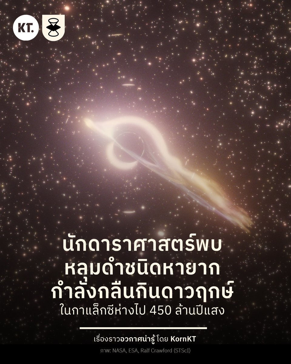 kornkt's tweet photo. นักดาราศาสตร์พบหลุมดำประเภทที่หายาก ขณะกำลังกลืนกินดาวฤกษ์ ในกาแล็กซีไกลจากโลกไปประมาณ 450 ล้านปีแสง

หลุมดำแห่งนี้มีชื่อว่า NGC 6099 HLX-1 โคจรอยู่ห่างจากใจกลางกาแล็กซี NGC 6099 ไปประมาณ 40,000 ปีแสง และเป็นหลุมดำมวลปานกลาง หรือ Intermediate-Mass Black Holes ที่ปรากฏสว่างในช่วงรังสีเอ็กซ์ ขณะกำลังกินดาวฤกษ์เข้าไป

เหตุการณ์กลืนกินดาวฤกษ์ หรือ Tidal Disruption Event เกิดขึ้นเมื่อมีดาวฤกษ์โคจรเข้ามาใกล้กับหลุมดำแบบนี้ จนถูกแรงไทดัลฉีกทำลายจนแหลก และปรากฏสว่างในช่วงรังสีเอ็กซ์ จนกล้องโทรทรรศน์อวกาศจันทราของ NASA สามารถตรวจจับได้ครั้งแรกในปี 2009 และมีการศึกษาอย่างต่อเนื่อง จนพบว่าวัตถุดังกล่าวควรเป็นหลุมดำมวลปานกลาง

การศึกษาหลุมดำเป็นเรื่องยากมาก เพราะนักดาราศาสตร์ไม่สามารถมองเห็นแสงของมันได้โดยตรง แต่ต้องใช้เทคนิคทางอ้อม อย่างการตรวจหาปรากฏการณ์ Tidal Disruption Event จนเป็นการค้นพบหลุมดำ NGC 6099 HLX-1 อย่างในครั้งนี้

จากข้อมูลการสำรวจในปัจจุบัน กาแล็กซีต่าง ๆ ในจักรวาลนั้น จะมีหลุมดำมวลยิ่งยวด หรือ Supermmasive Black Holes ที่มีมวลมากกว่าล้านเท่าของมวลดวงอาทิตย์ อยู่ในบริเวณใจกลางของกาแล็กซี และต้องมีหลุมดำมวลดาวฤกษ์ หรือ Stellar-Mass Back Holes ซึ่งมีมวลน้อยกว่า 100 เท่าของมวลดวงอาทิตย์ กระจายตัวอยู่ทั่วไปในเอกภพ แต่หลุมดำที่มีมวลระหว่าง 100-100,000 เท่าของมวลดวงอาทิตย์ อย่าง NGC 6099 HLX-1 กลับค่อนข้างหาได้ยากในปัจจุบัน

การค้นพบในครั้งนี้ อาศัยข้อมูลจากกล้องจันทรา กล้อง XMM-Newton และกล้องฮับเบิล เพื่อศึกษาอย่างต่อเนื่องตั้งแต่ปี 2009 จนถึงปัจจุบัน ซึ่งจะเป็นข้อมูลสำคัญในการทำความเข้าใจหลุมดำประเภทนี้ได้ดียิ่งขึ้น

#KornKT #อวกาศน่ารู้