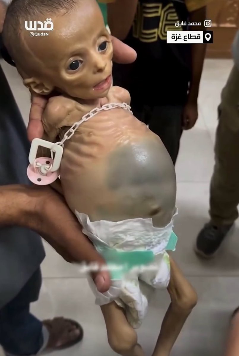 La_SemiYA_dl_VD's tweet image. son los hijos del diablo, no hay más
DEP pequeño
DEP