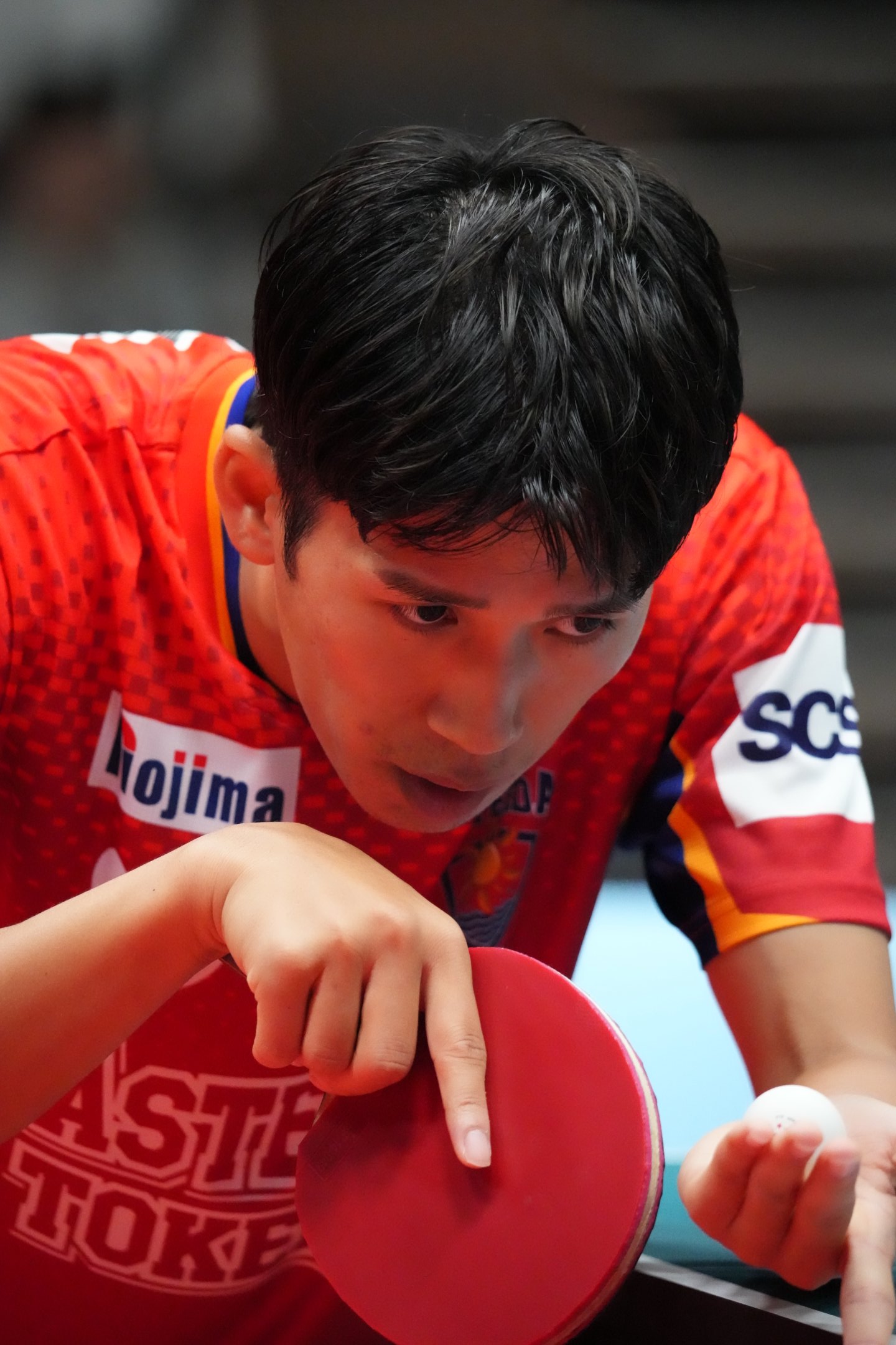 Asteeda 吉村 真晴 選手 サイン入り 吉村真晴選手直筆サイン入りのチームステッカー | Fun Portal