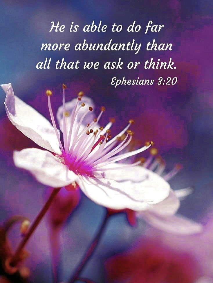 Teresa42254207's tweet image. Ref James 4:2 Ye lust , and have not: ye kill, and desire to have, and cannot obtain: ye fight and war , yet ye have not, because ye ask not.K.J.V.
