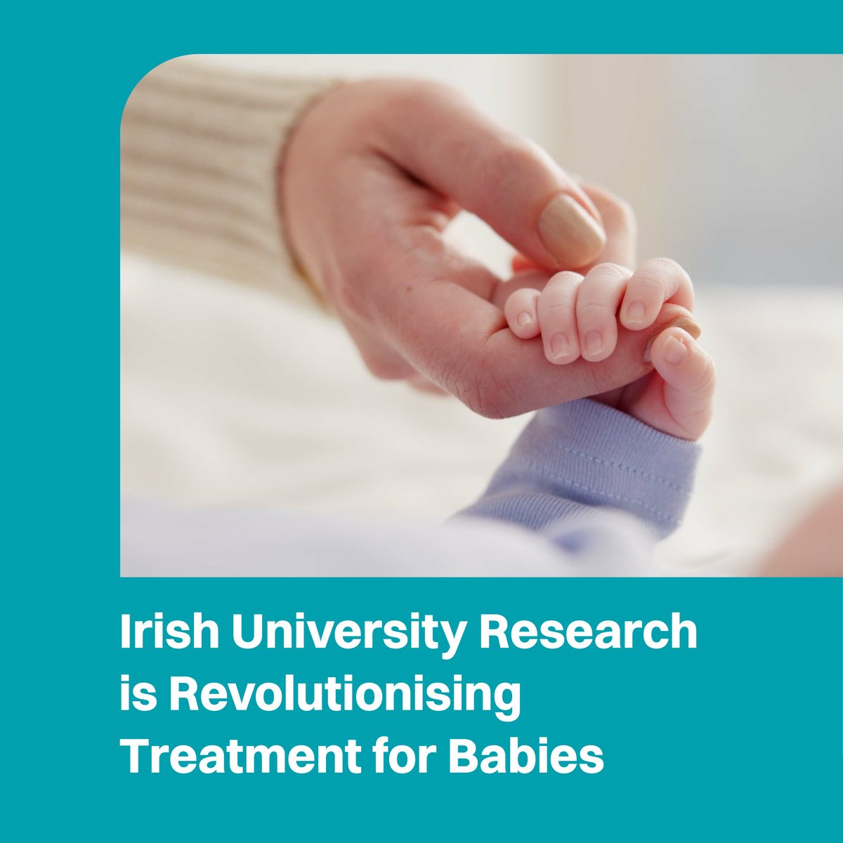 tcddublin's tweet image. Irish Universities solve real-world challenges, from health breakthroughs to sustainability. To keep making an impact, we need sustained investment.
The ‘Research Infrastructure & Talent Fund’ is key to Ireland.
Read: iua.ie/betterireland/
#BetterIreland #InvestInHigherEd
