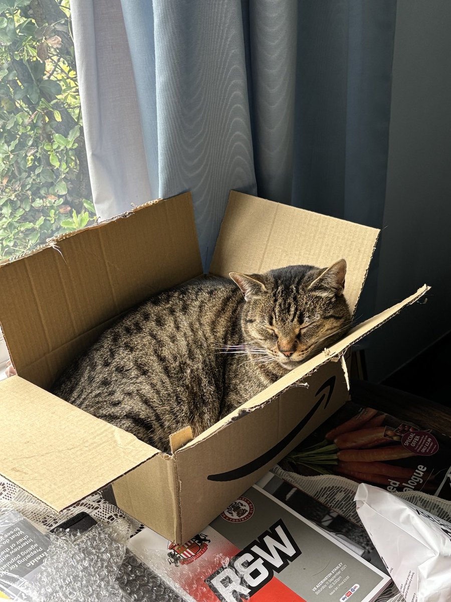 Happy #Caturday from Olly