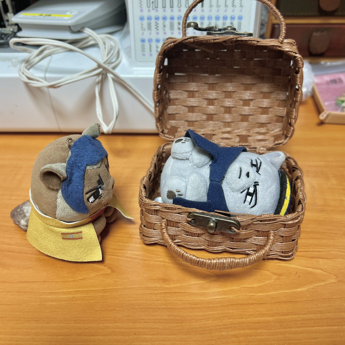 collar0610's tweet image. ぱかっ