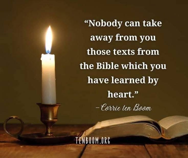 NicholasCa6583's tweet image. “I have stored up Your word in my heart, that I might not sin against You.”
~Psalms 119:11
