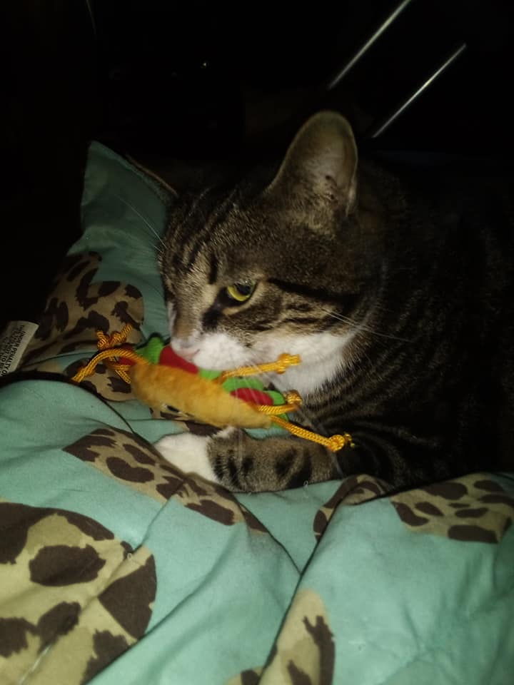 Cookie🍪 💎 tweet media