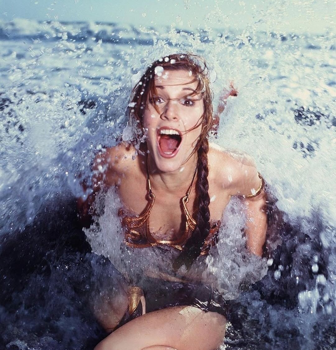 Doug_T79's tweet image. Carrie Fisher 💖💖💖
An American princess. 👸🏼