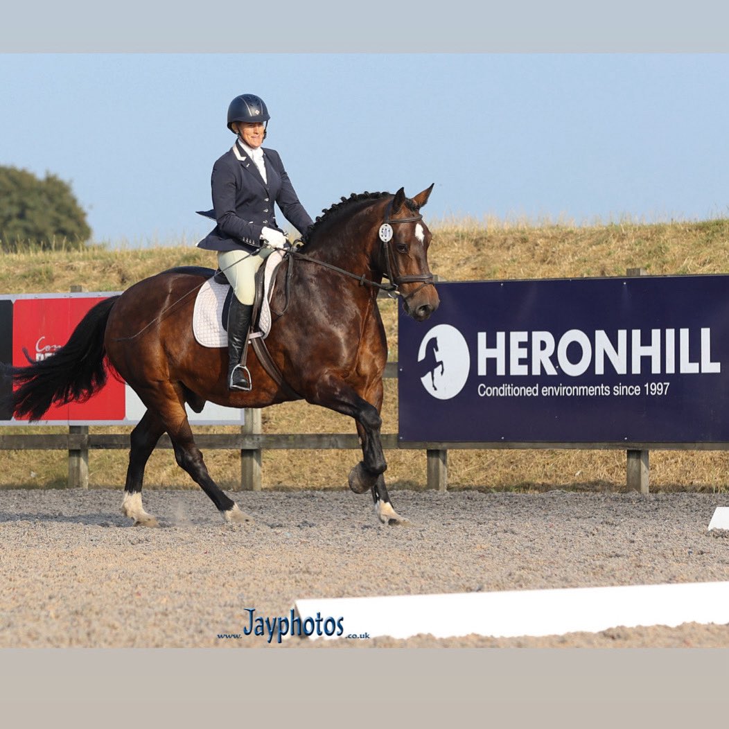 Kate Carter and Ludo on their way to win Novice 2 Dressage at the Unaffiliated Summer Series at Pontispool on Wednesday