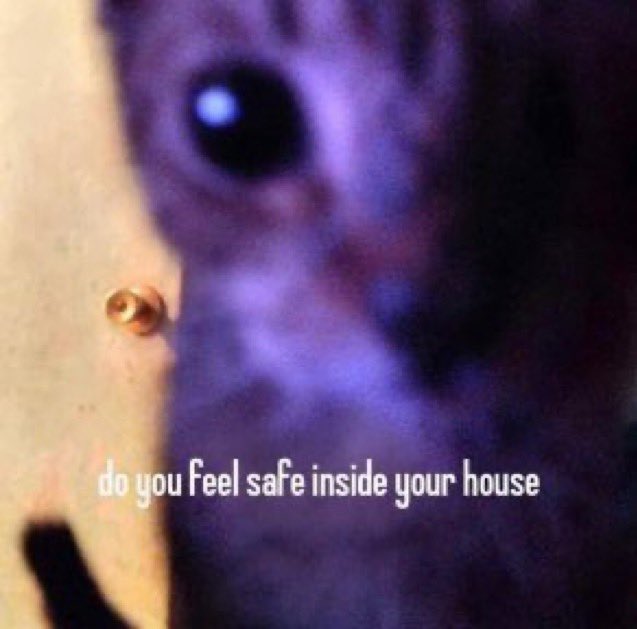 fizzlestixx21e8's tweet image. dont worry about it kitten