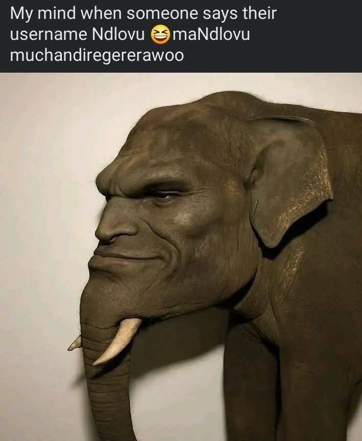 BrianManwele's tweet image. AnaNzou.