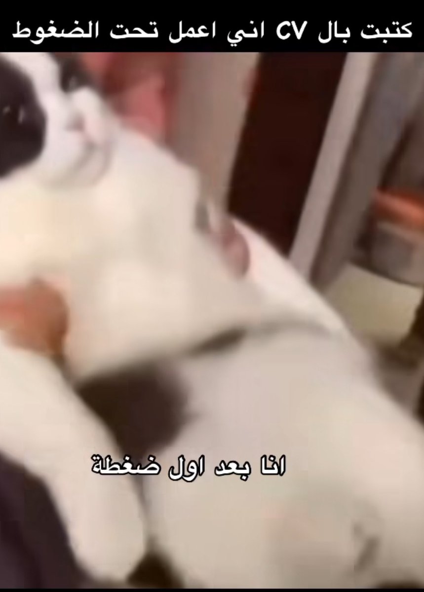 A8nsr's tweet image. 