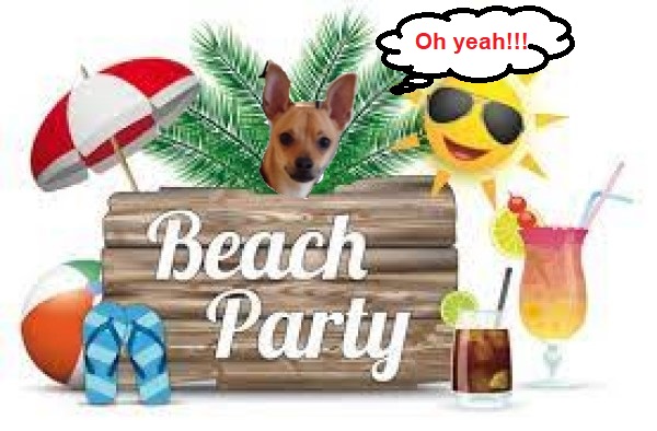 Here for the beach pawty! Oh yeah!!!! #zzst #zsstbeachparty