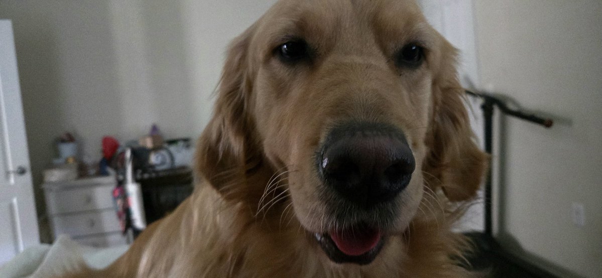 Apologetics941's tweet image. Its 9 o clock.
When are you getting up dad!!!!