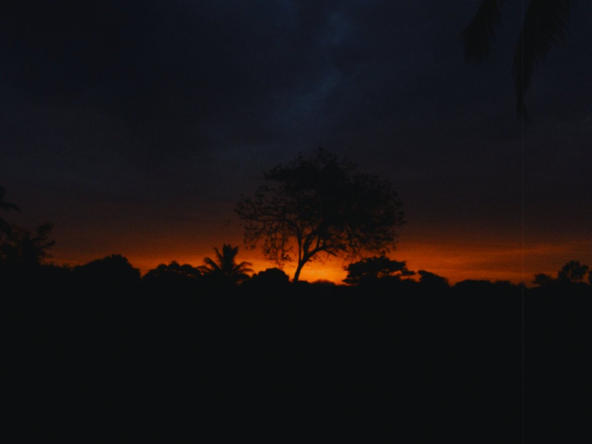 arthextic's tweet image. warmth of sunset.