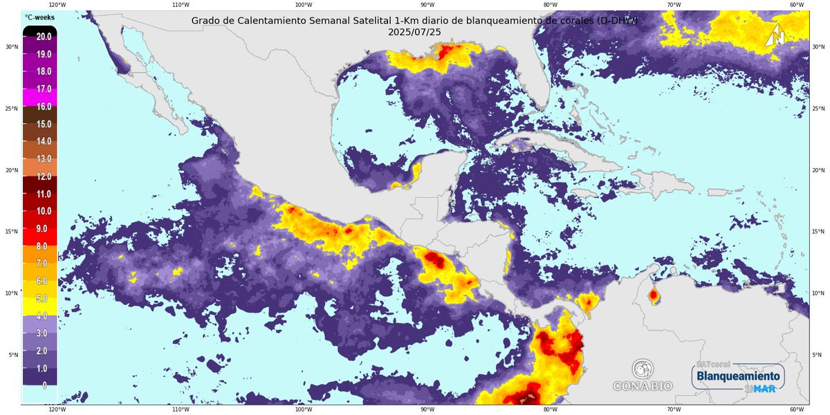 SIMARConabio's tweet image. SATcoral: Satellite-based Early Warning System for Coral Bleaching 1-km by SIMAR-Conabio
📅 Daily report: 2025-07-25
🔗 Explore SATcoral-SIMAR: tinyurl.com/27nhxzpb
simar.conabio.gob.mx/explorer
#Coral #Bleaching #Conabio