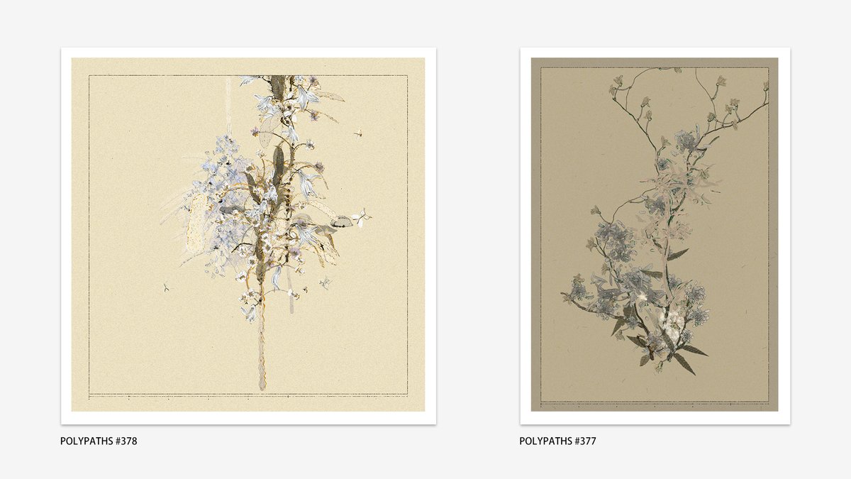 IOivm's tweet image. Polypaths #378 #377
In classical painting there’s a technique called sparkle edge or counterchange—leaving a tiny gap at the light–shadow boundary makes the work shine. Polypaths has that too, especially when plant count is low.I’ve seen outputs in the seed market I never…