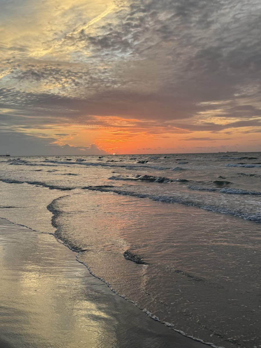 bloomer_sa's tweet image. Photos from my morning run! Let’s go! 🏃‍♂️