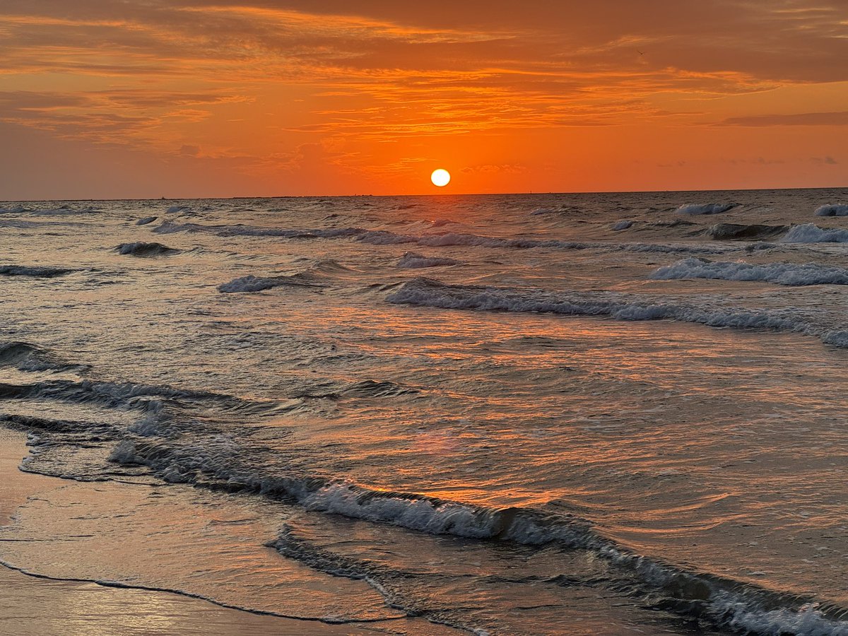 bloomer_sa's tweet image. Photos from my morning run! Let’s go! 🏃‍♂️