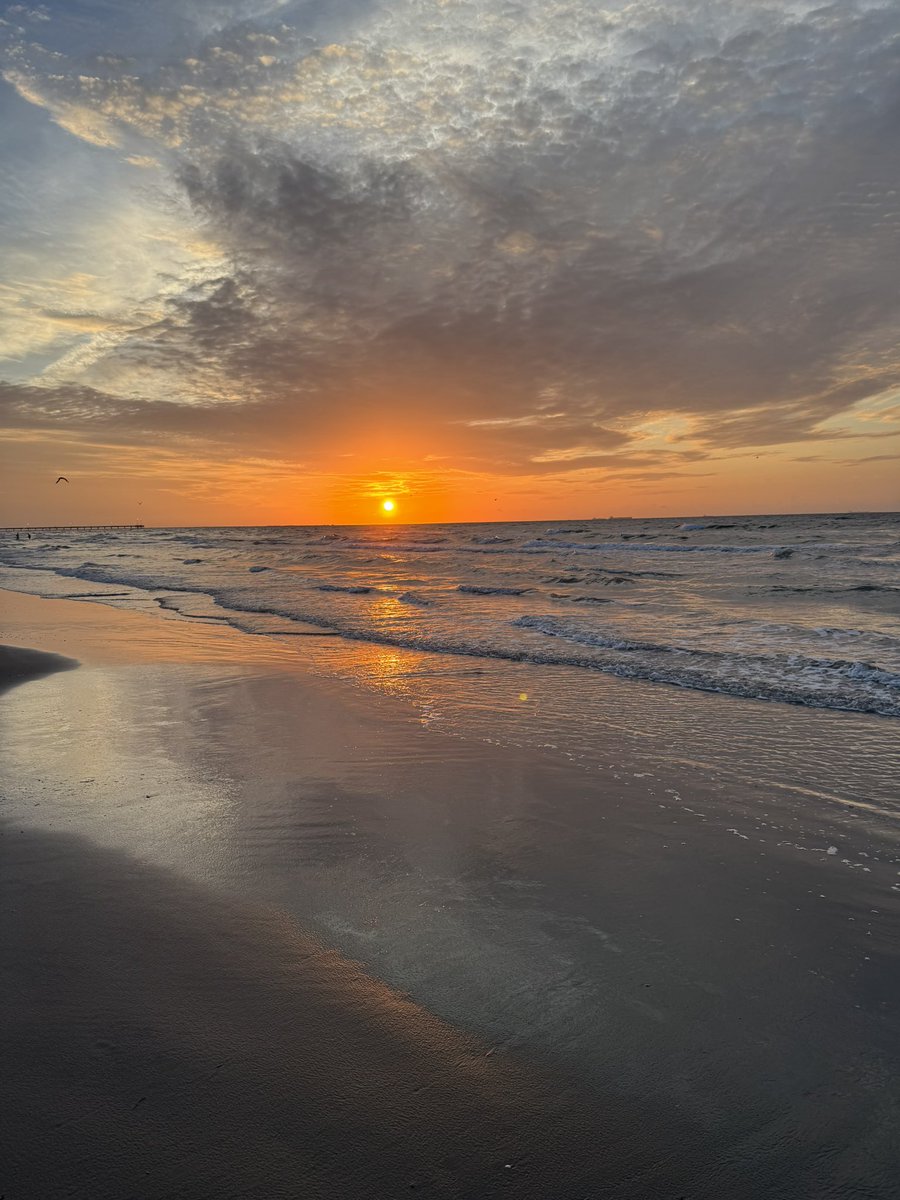 bloomer_sa's tweet image. Photos from my morning run! Let’s go! 🏃‍♂️