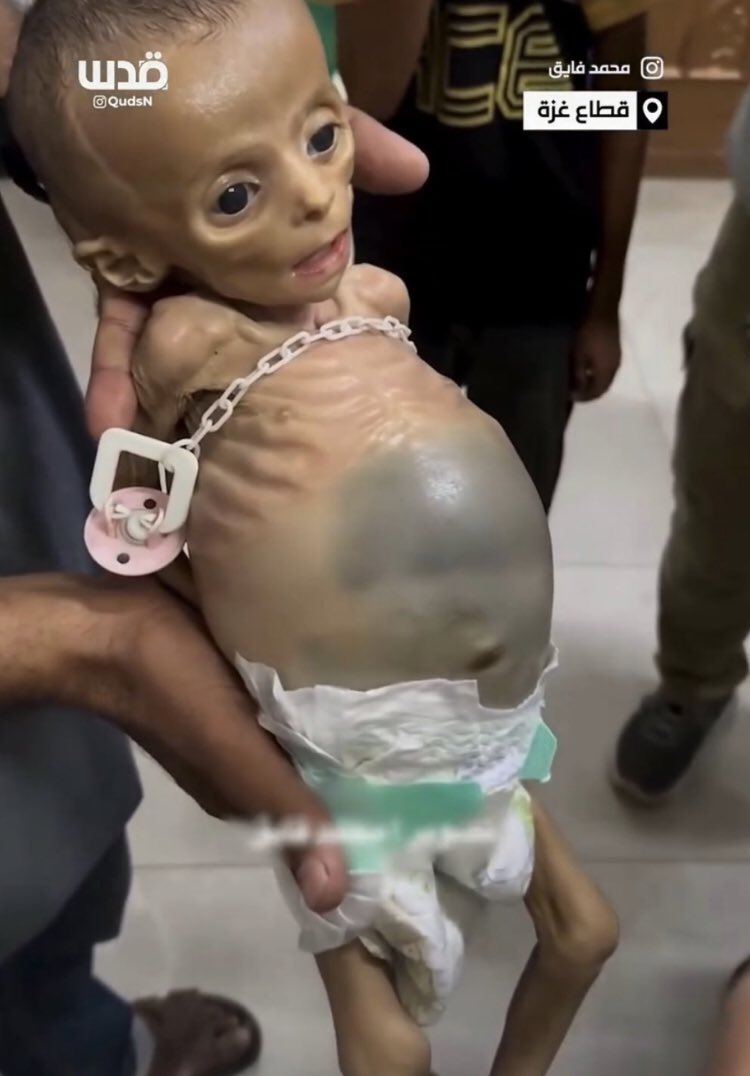 La_SemiYA_dl_VD's tweet image. Son los hijos del diablo, no hay más
DEP Pequeño
DEP