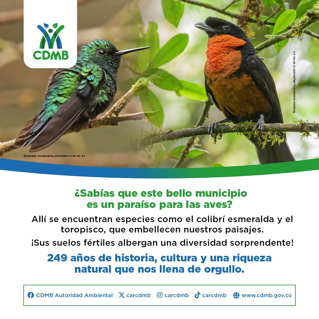 ¡Feliz Aniversario, Piedecuesta! 🎉 Hoy, 26 de julio, celebramos la fundación de este hermoso municipio en 1776, un lugar lleno de historia y encanto. 

🌱🌷Piedecuesta es un motor de desarrollo para Santander. ¡Que sigan los éxitos y la prosperidad! 💛💚