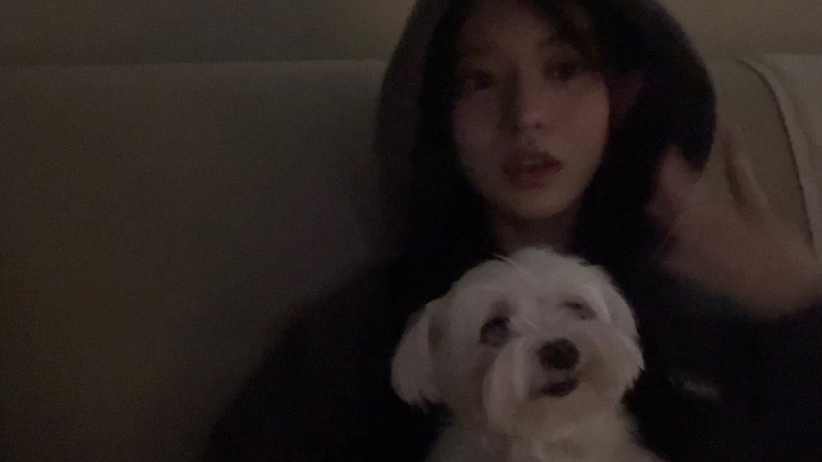 minjunetic's tweet image. "we raised ddungi since i was 9 🐶"
"she's like a family right.. 😘 🐾🐾"
"she's 13 now"
"i told you because many people said that she looks like a baby while strolling around ㅎㅎㅎ"
rest in love ddungi 🩷