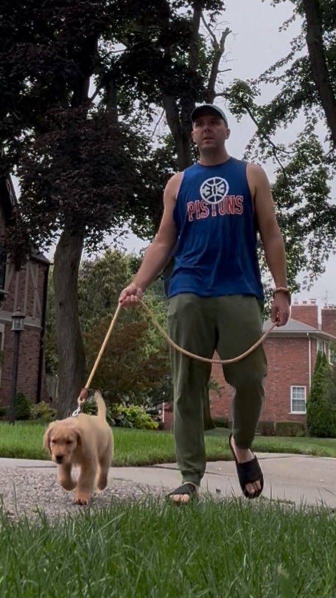 AriWagner_'s tweet image. Took the pup out for a walk and noticed the boys got that Detroit Pistons Dawg Pound energy. Call us Beef Stew & Ron on the block.