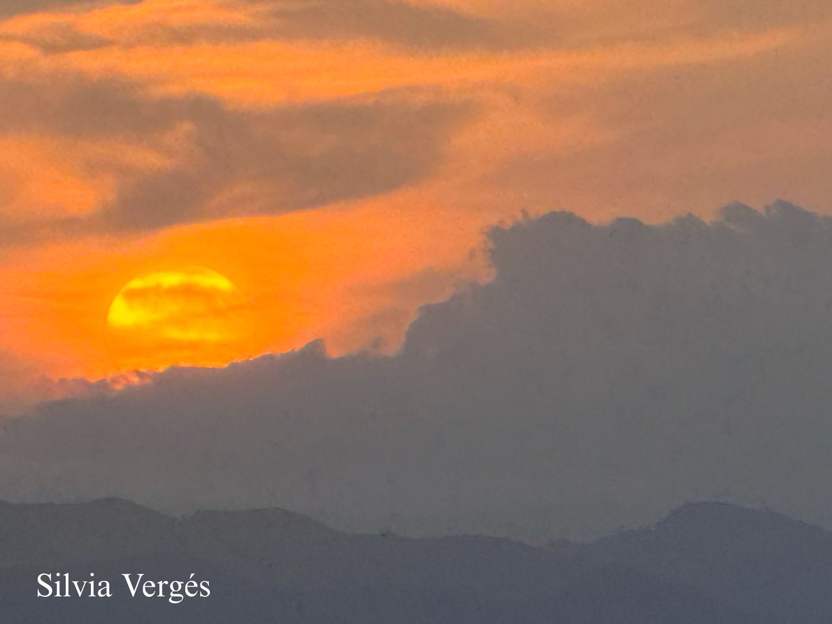 383_787's tweet photo. Buenos días ☀️🌅
Ponce PR ♥️🇵🇷☕️@SusanSoltero @Fernando_AF14 @AtabeyPhotog @20Alerta_Caribe @GuaybanaJota @rcortestv2 @Zona_del_tiempo @KevinDelbrey @moqjazz @NormaOrtizRodr4 @NancyPe26627623 @noticel https://t.co/rkp7vlXyiP