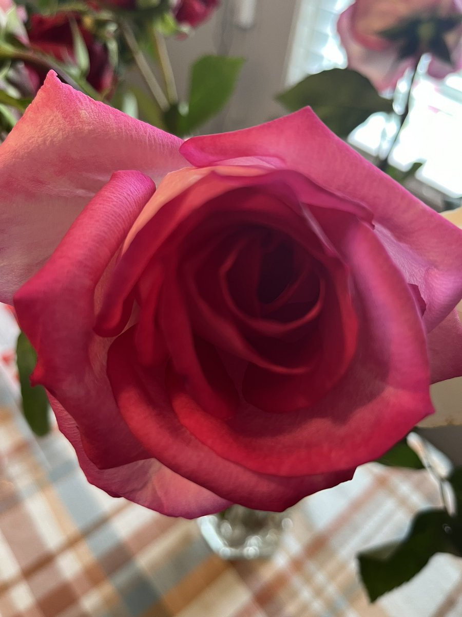 bvilkas's tweet image. Have a delightful Saturday!