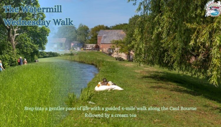 VisitIOW's tweet image. Watermill Wednesday Walks🥾
Step into a gentler pace of life with a guided 4-mile walk along the Caul Bourne - the stream that has powered Calbourne Water Mill for over a thousand years.
ℹ️Find out more: tinyurl.com/nhdcjrz7
#WeCantWaitToShowYou #IsleofWight