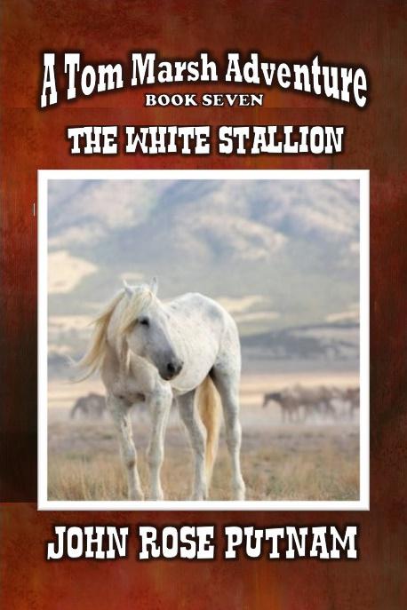 ❈THE WHITE STALLION❈
Tom and Lacey make a dangerous pursuit across gold country to rescue a kidnapped baby. On the way Lacey nearly dies, but at last they arrive in the great valley of California. The kidnappers are close.
barnesandnoble.com/w/the-white-st…