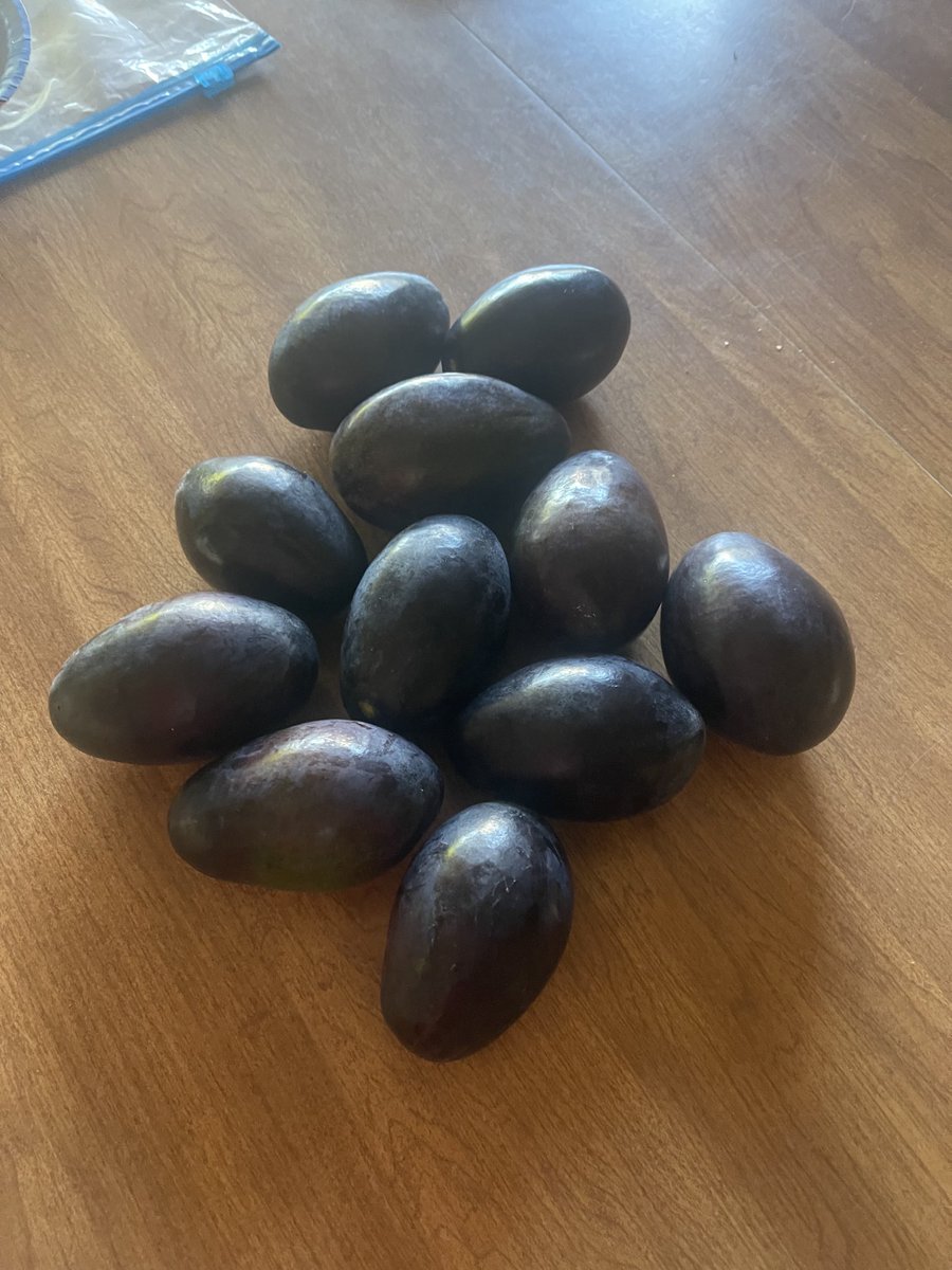 mclseed's tweet image. Today’s avacado harvest.
