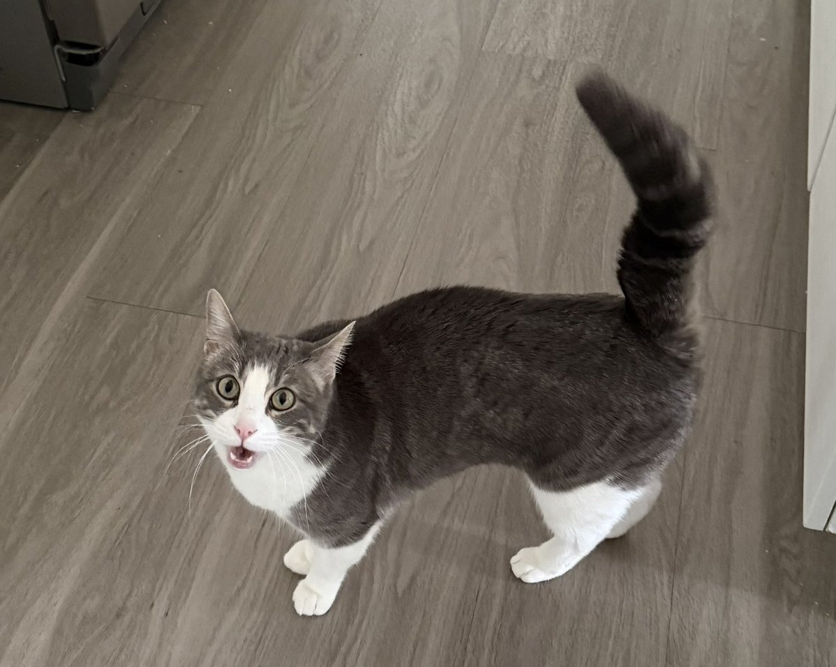 keel🌦 tweet media