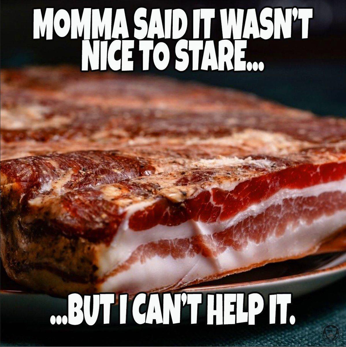 worshipthepig's tweet image. 