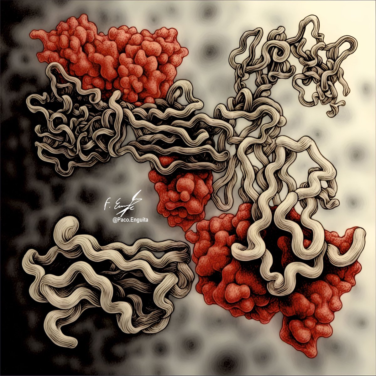 fenguita's tweet image. Crystal structure of shark UrIg2 V-C1-C2-C3 domains (PDB code: 9DMX) #scivis #molecularart @dzine_ai @proteinimaging
behance.net/gallery/231209…