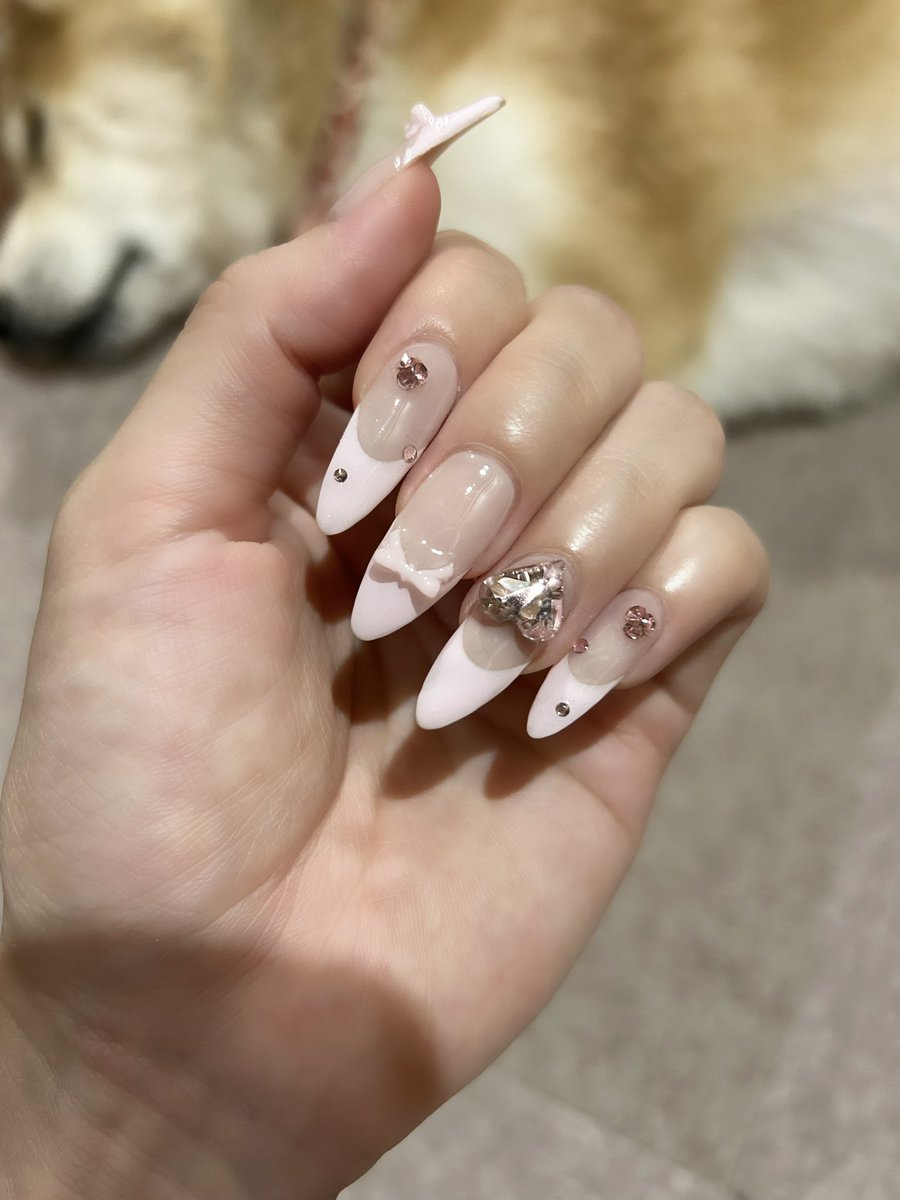 _satomaria's tweet image. 新しいネイルと寝てる犬