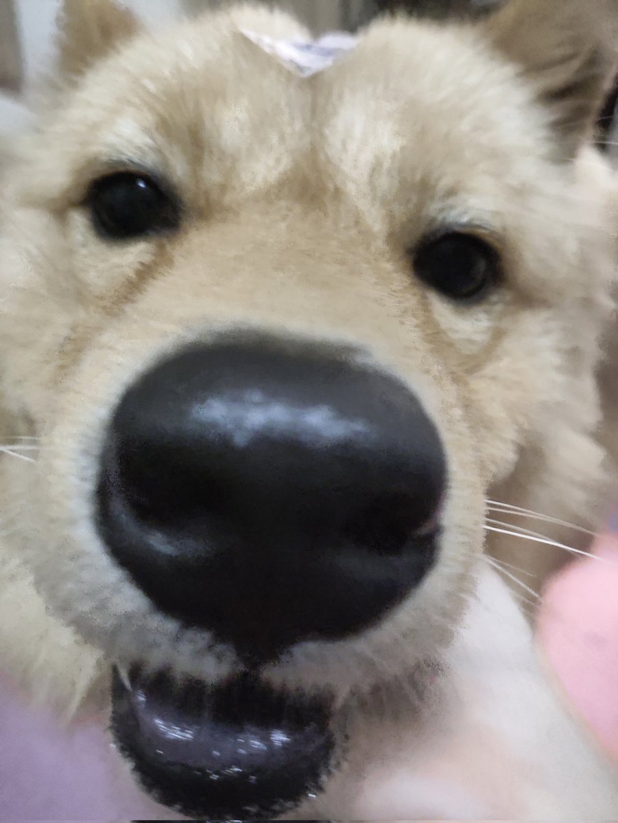 YINUO_ENO's tweet image. 